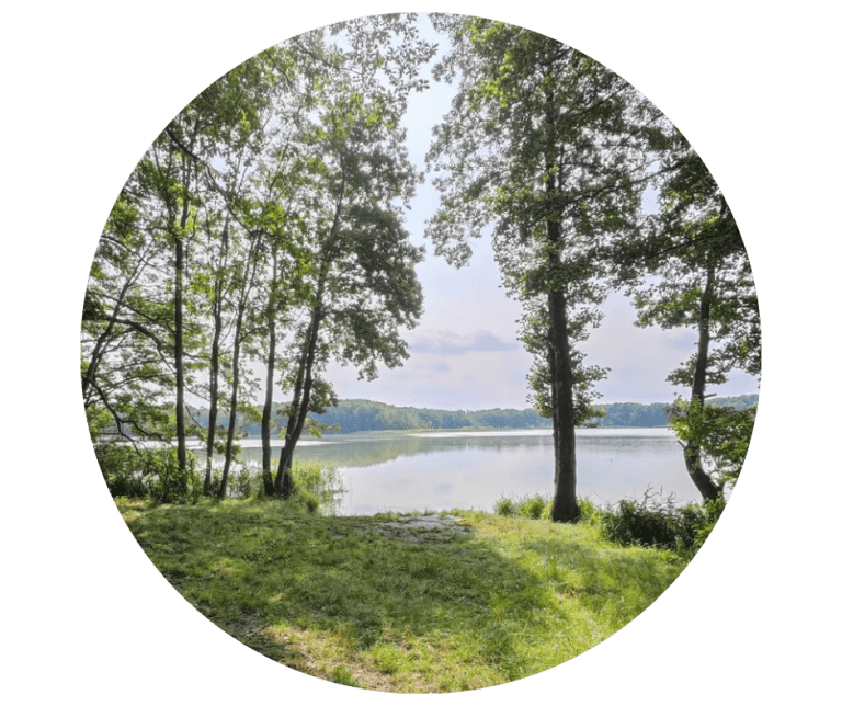 Untitled-design-b-1.png
