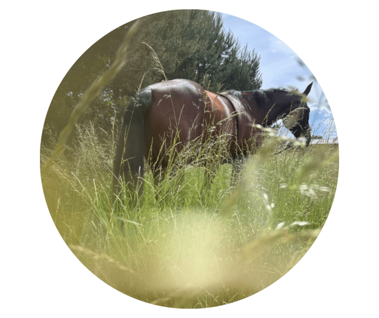 Untitled-designmm-1.png