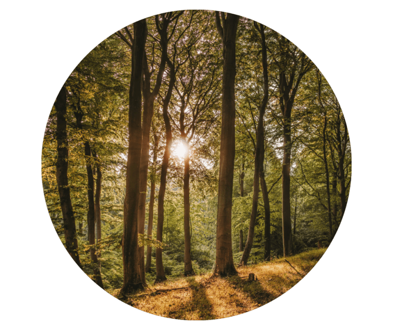 Untitled-designmn-1.png